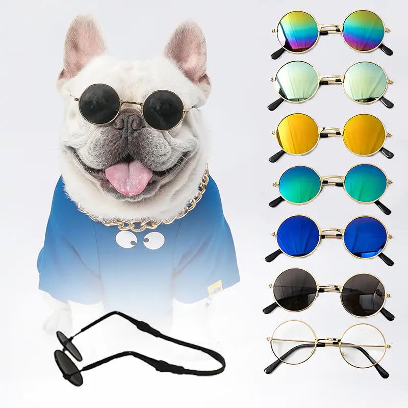 Hippie Pet Sunglasses