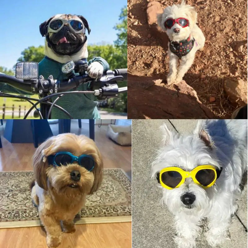 Sleek Dog Sunglasses