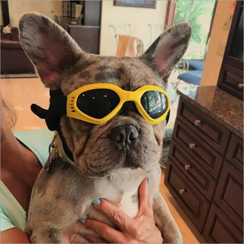 Sleek Dog Sunglasses