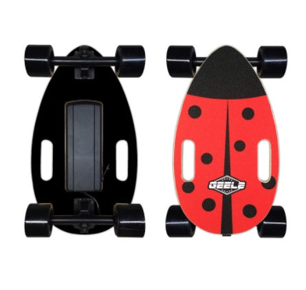 Backpack E- Surfboard/Skateboard