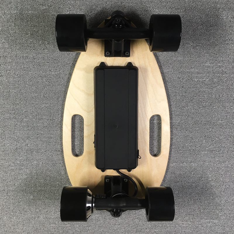 Backpack E- Surfboard/Skateboard